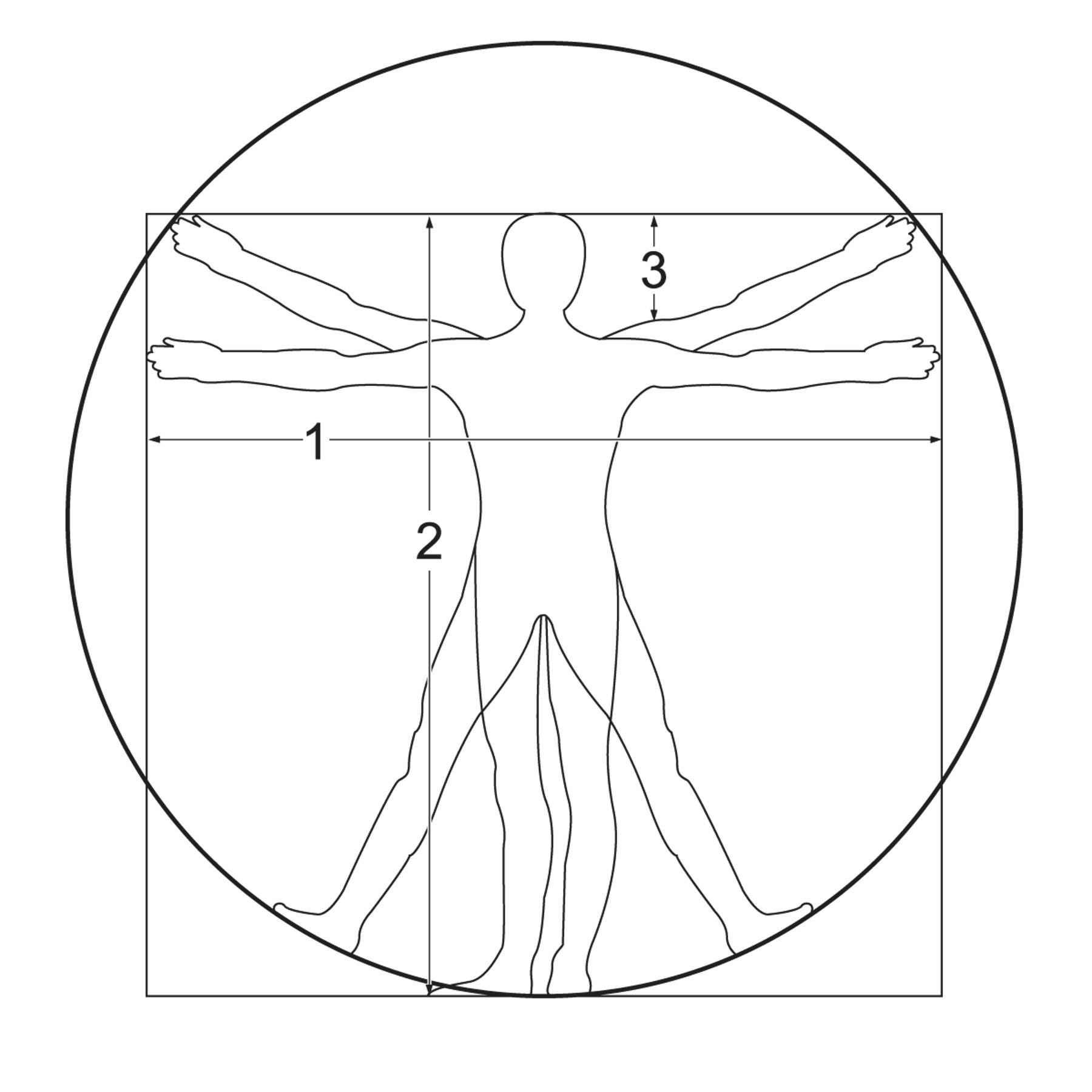 trundle-wheel-da-vinci